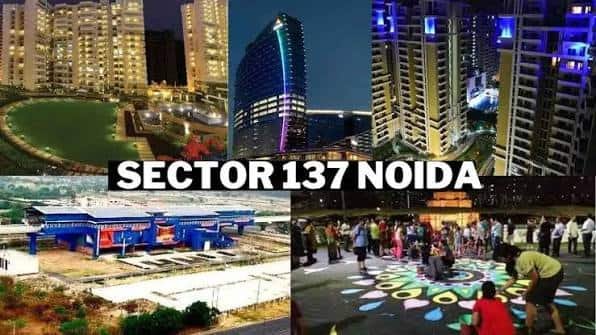 Sector 137 Noida: Location, Connectivity, Property & Nearby Areas